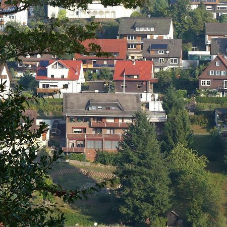Haus Krick Apartment Alpirsbach Bagian luar foto